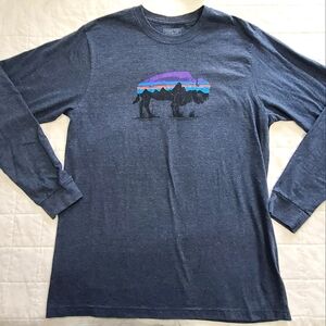 Patagonia Buffalo Long Sleeve Shirt Medium Worn Wear Regular Fit